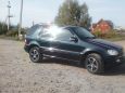 SUV   Mercedes-Benz M-Class 2002 , 380000 , 