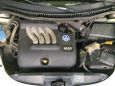  Volkswagen Beetle 1999 , 250000 , 