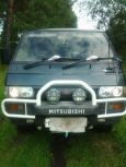   Mitsubishi Delica 1991 , 300000 , -