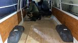    Toyota Hiace 1995 , 520000 , 