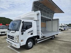   Hyundai Mighty EX8 2019 , 8610000 , 