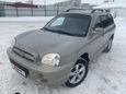 SUV   Hyundai Santa Fe Classic 2008 , 555555 , 