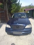 SUV   Mercedes-Benz M-Class 2000 , 260000 , 