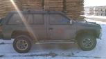 SUV   Nissan Terrano 1993 , 250000 , 