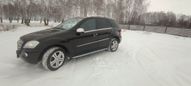 SUV   Mercedes-Benz M-Class 2009 , 890000 , 