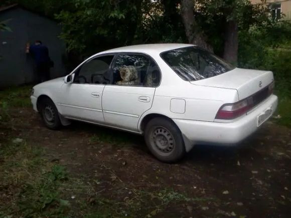  Toyota Corolla 1994 , 145000 , --