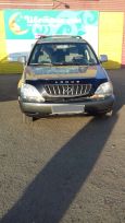 SUV   Lexus RX300 2001 , 620000 , 