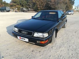  Audi 100 1989 , 249000 , 