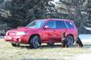 SUV   Subaru Forester 2003 , 650000 , 