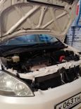    Toyota Ipsum 2001 , 490000 , --