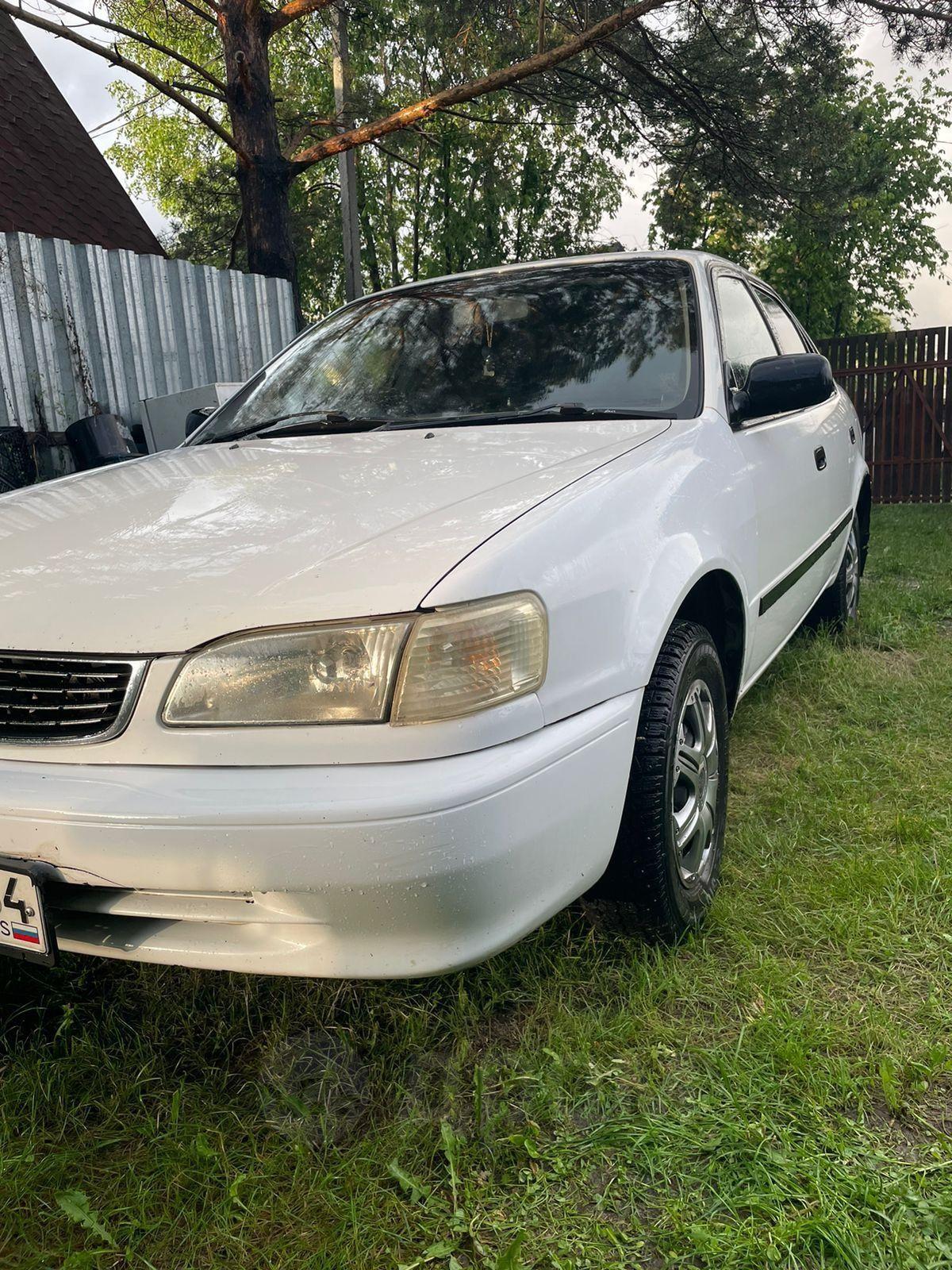 Toyota Corolla 1999 в Новосибирске, Продам короллу дизель в хорошем  состоянии по кузову как на фото, обмен на более дорогую, на равноценную,  АКПП, дизель, с пробегом