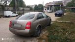  Nissan Primera 2005 , 320000 , 