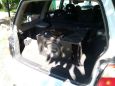 SUV   Subaru Forester 2000 , 180000 ,  