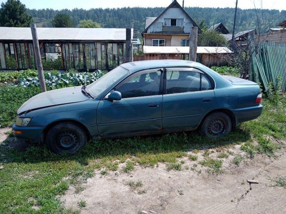  Toyota Corolla 1994 , 50000 , 