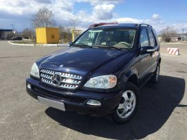 SUV   Mercedes-Benz M-Class 2003 , 700007 , --