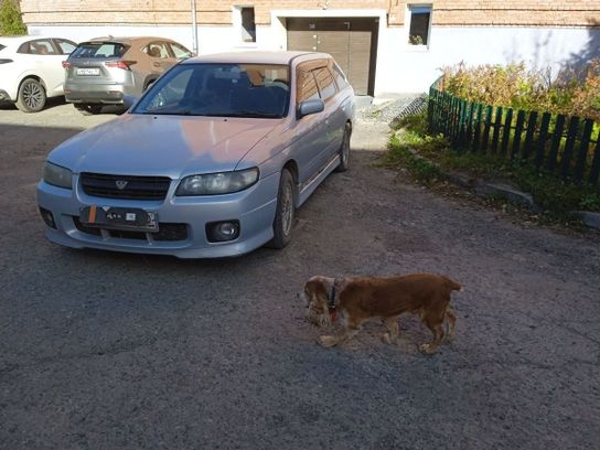 Ниссан Авенир 2004 год