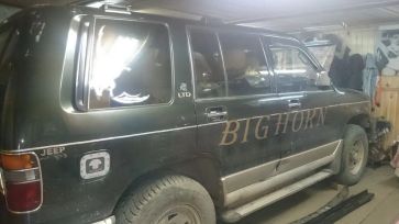 SUV   Isuzu Bighorn 1995 , 380000 , -