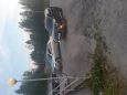  Lexus LS430 2001 , 390000 , 