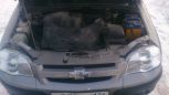 SUV   Chevrolet Niva 2010 , 287000 , 