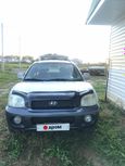 SUV   Hyundai Santa Fe 2001 , 400000 , 