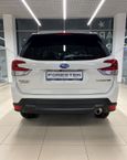 SUV   Subaru Forester 2021 , 4298900 , 