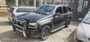 SUV   Chevrolet TrailBlazer 2002 , 449000 , 