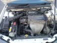  Honda Accord 1998 , 245000 , -