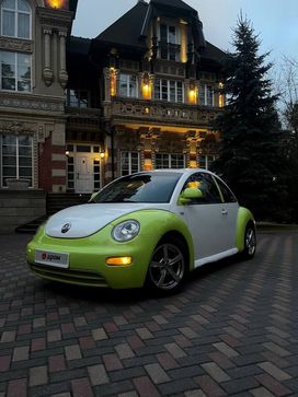  3  Volkswagen Beetle 1999 , 490000 , 