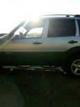 SUV   Chevrolet Niva 2010 , 340000 , 