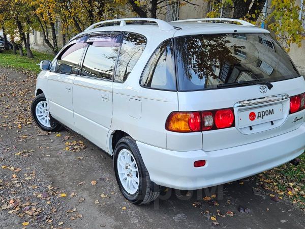 Купить Ипсум 10 В Иркутске
