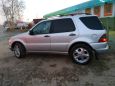 SUV   Mercedes-Benz M-Class 1999 , 500000 , 