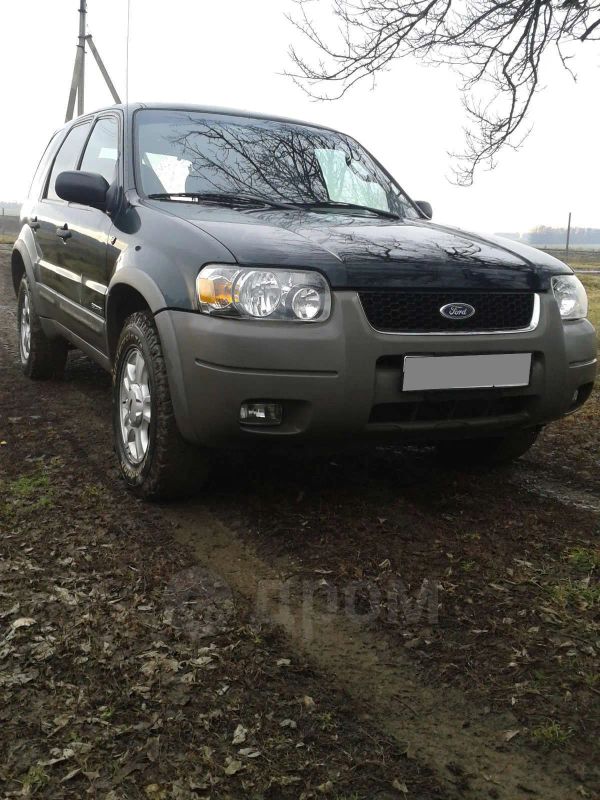 SUV   Ford Escape 2000 , 260000 , 