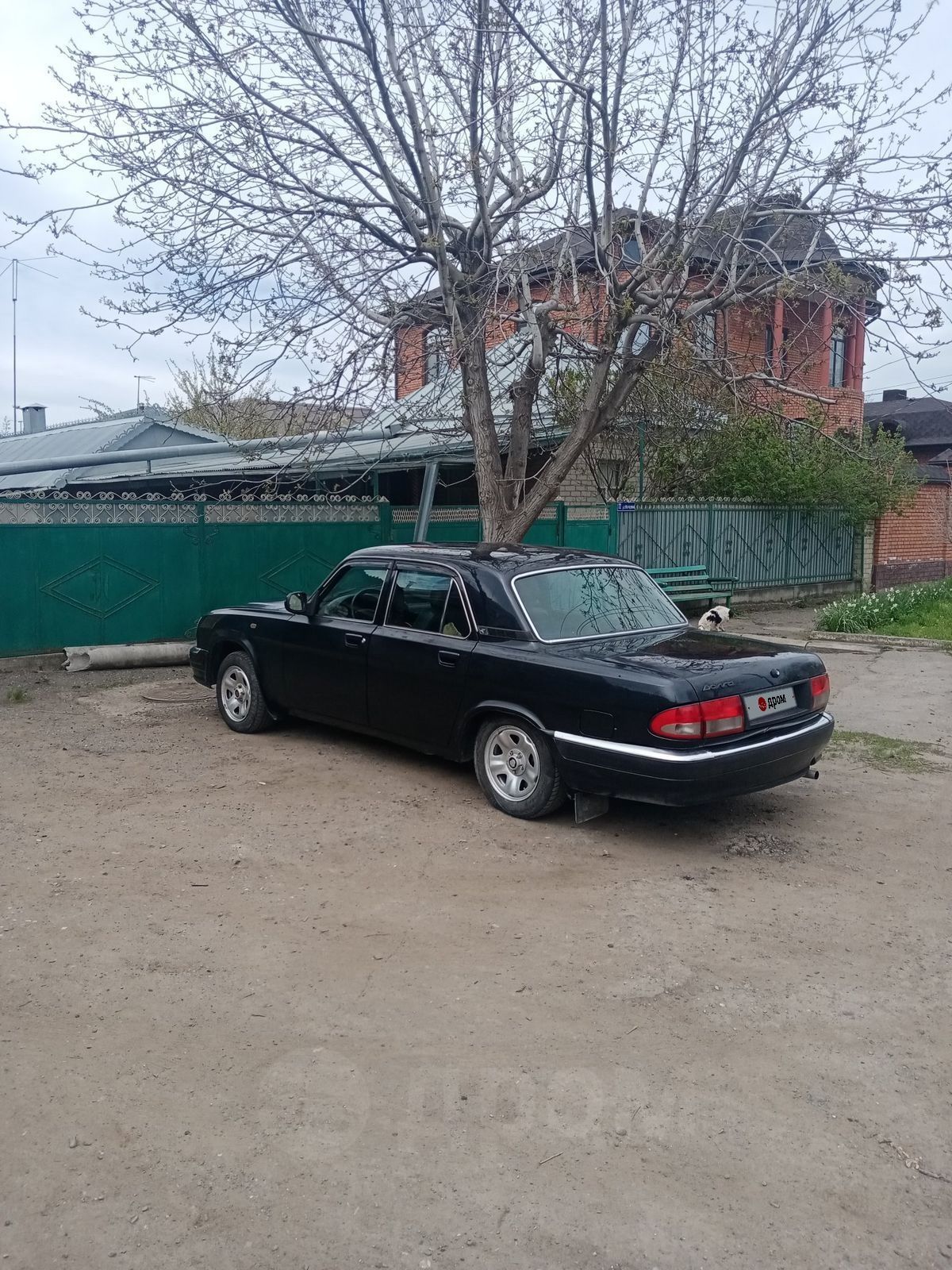 31105 спб. Газ 31105 гниль. auto gas.