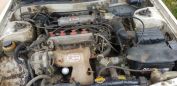  Toyota Camry 1987 , 45000 , 