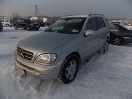 Mercedes-Benz Mercedes 2003 , 688000 , 