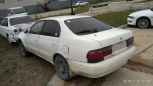  Toyota Corona 1993 , 30000 , 