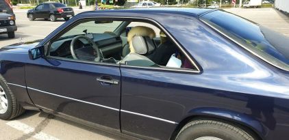  Mercedes-Benz E-Class 1994 , 350000 , 