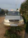 SUV   Lexus RX300 2002 , 440000 , 